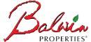 Balwin Logo